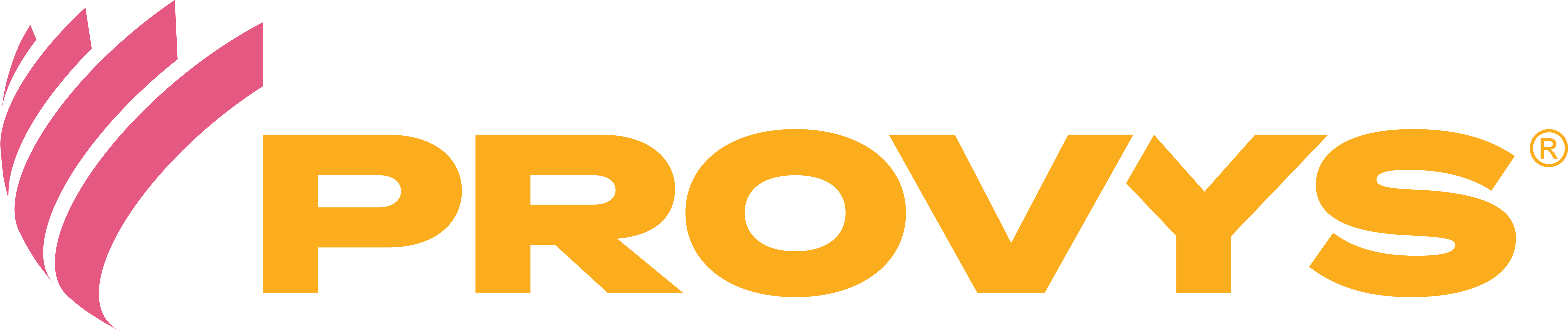 Provys logo